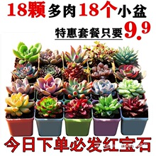 ����ֲ�����M�ϲ��؏����������ܾGֲ���Է�ݗ�������ײ�