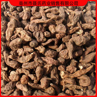 ��ș�����lާ��  �˅��� ɢ�b ������ș�I�N�۹���