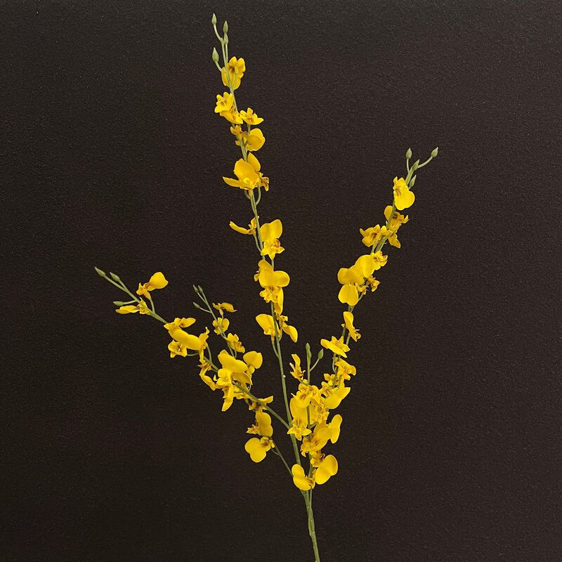 Butterfly Dancing Orchid Artificial Flower Small Fresh Forest Wedding Landscaping Artificial Flower Home Model Room Decoration Shooting Props