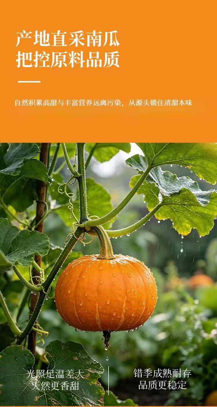 Probiotic Red Bean Pumpkin Brown Rice Drink 30ml x 7 Sachets Ready-to-Drink Herbal Botanical Beverage overview