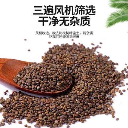 Sha Yuan Zi (Astragalus complanatus) — Sulfur-Free Wild Dried Seeds for Tea & Tonic in use