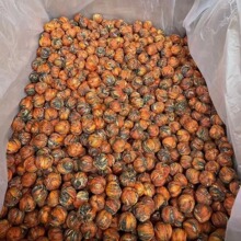 云南凤庆滇红茶花茶百合绣球 纯手工 龙珠金芽蜜香金丝工夫茶500g