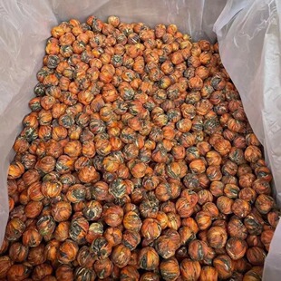 ����P�c��t�軨��ٺϽ��� ���ֹ� �����ѿ�����z�����500g