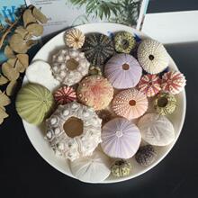 ���ú�đ�������LСҹ�������đؐ�����к����\��đ���º�đ