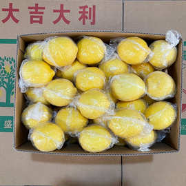 批发新鲜四川安岳黄柠檬一级大果 1斤约3个 新鲜汁多饮品店推荐