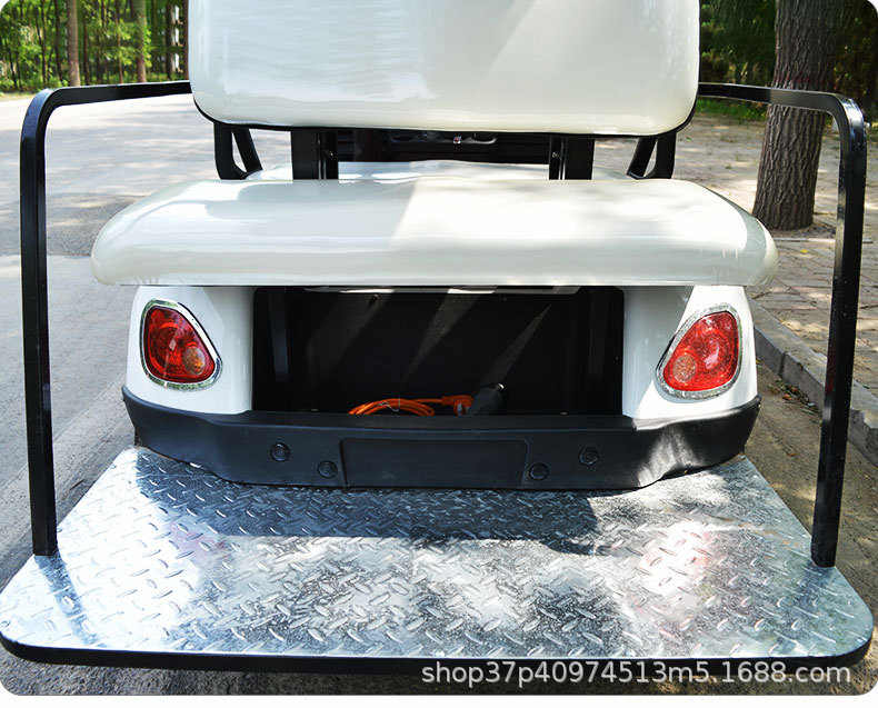 Electric golf cart scenic spot sightseeing car four-wheel court walking 2-4 seats 6 seats car patrol car