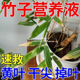 ���ӌ��àI�BҺ�����~�Ӱl�S�ɼ⠀�������L�Gֲˮ�����ӌ��÷���