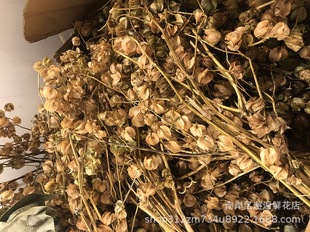 �����\�����ɻ����\���ɻ��͹Ż������f��ɫ��Y�ܘ�ܛ�b���û���