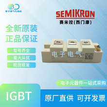 SKM100GAR063D SKM100GAR123D SKM100GAR124DTIGBTģK