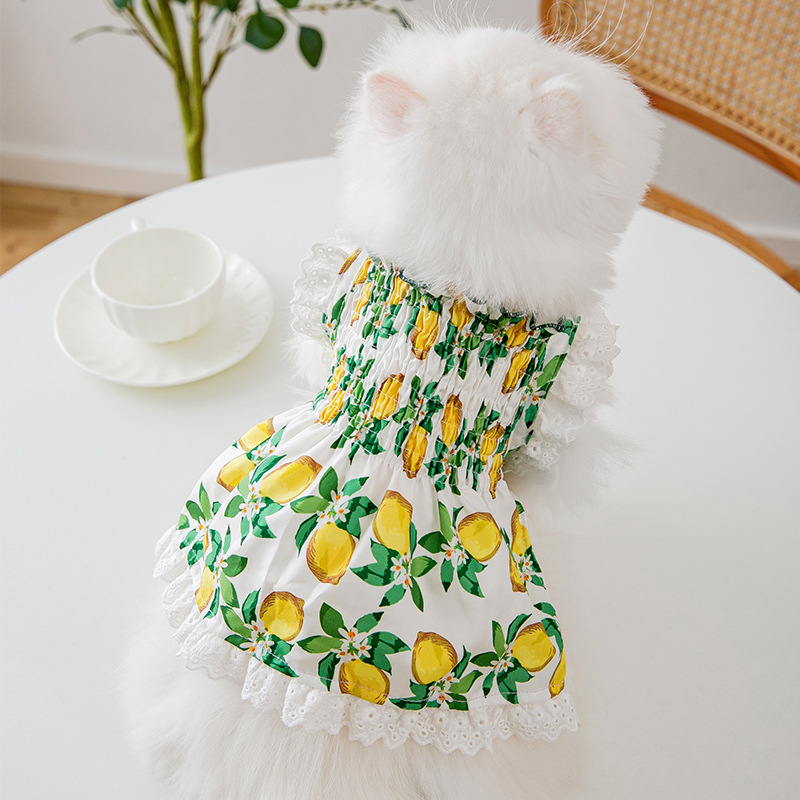 Gato primavera y verano borde de encaje fresco pequeño limón suspender falda verde dulce perro vestido ropa para perros mascotas