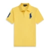 POLO yellow blue logo