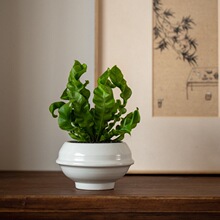 �����B��ާ�����҃�����ϲ�ֲ������՚���BާGֲ