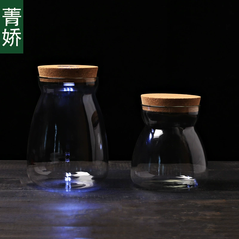 Прозрачная боросиликатная утолщенная бутылка-бутылка Креативная бутылка из мха Микро-пейзажная стеклянная бутылка