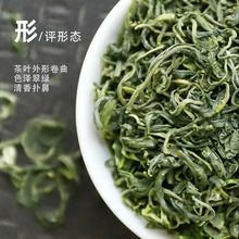 新茶贵州遵义毛峰茶叶绿茶日照高山茶特浓香茶叶都匀云雾毛尖