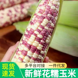 块茎类;其他水果;苹果