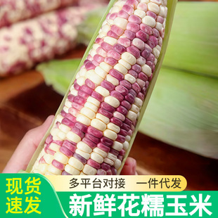 ���r��Ŵ���׬Fժ�������������װ��Ӱ�����ˮ�������߲ˬFժ���l