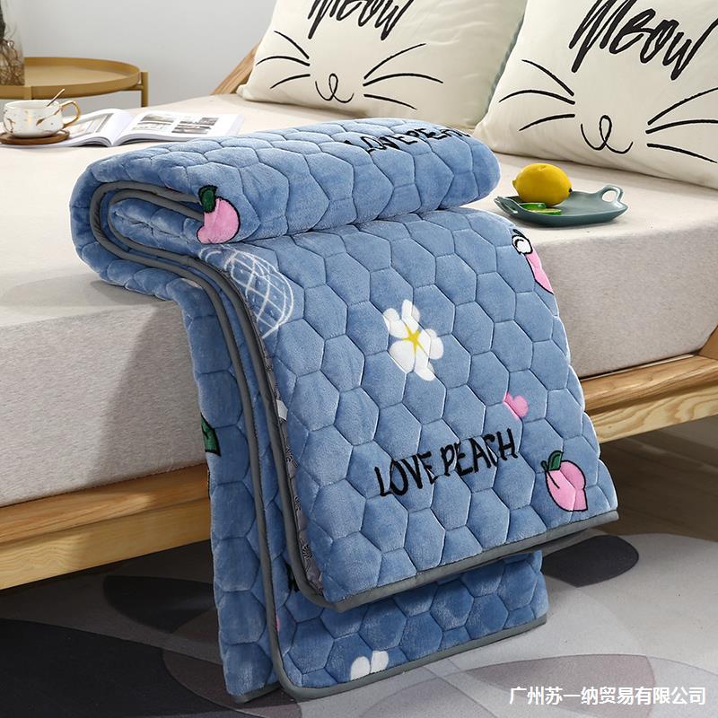 winter Single sheet Coral singleton mattress Cotton clip Plush double-deck thickening Blanket Double Flannel blanket