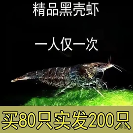 离心泵;磨片、切割片;电焊机