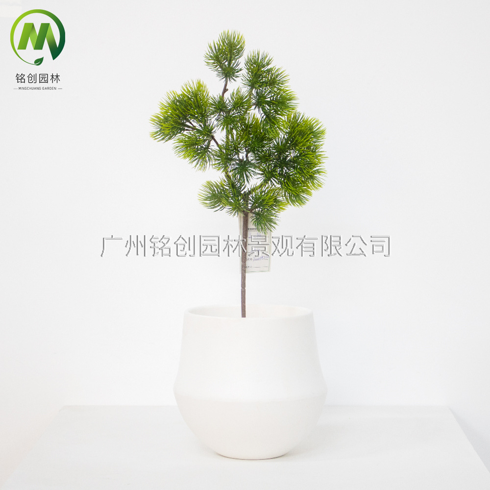 Simulación de ramas de pino, hojas de cedro, ramas de frutas, flores de pino de bienvenida, pino de belleza, podocarpus, bonsái, hojas insertadas, decoración de árboles de Navidad, ramas de pino falsas