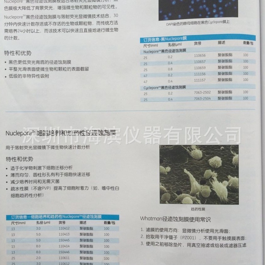 WHATMAN聚碳酸酯滤膜155845 25*80MM径迹蚀刻滤膜批发