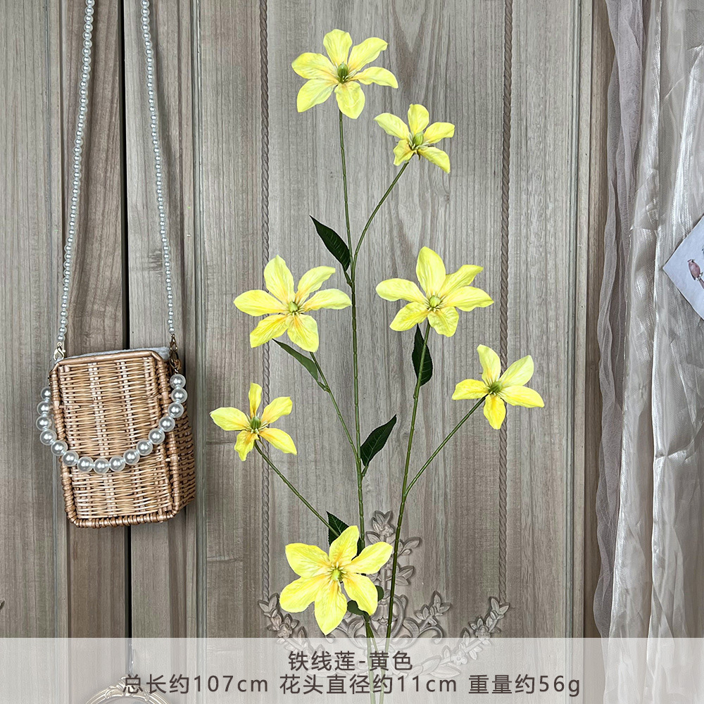 YM-铁线莲-黄色