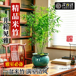 �����辰�������ҿ͏d��Gֲ�Pβ���^��������ʽ�U���ļ�ֲ��