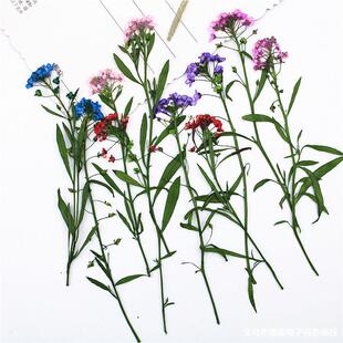 ��ѩ��ɻ����l ���������z�֙C�������޹Ϟ�TѺ���ֹ�diy���ϰ�