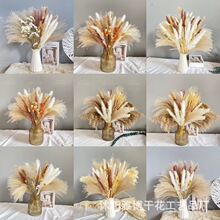 �JȔ��β������˹��Pampas�ɻ������b��Ĕz���߶YƷ���R�d�羳