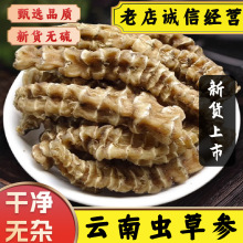 云南虫草参中药材精选大条新鲜虫草参干货地参地笋地蚕子炖煲汤料