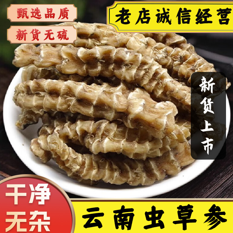 云南虫草参中药材精选大条新鲜虫草参干货地参地笋地蚕子炖煲汤料