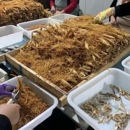 高丽参纯无糖老参红参别直参整枝高丽参长白山人参