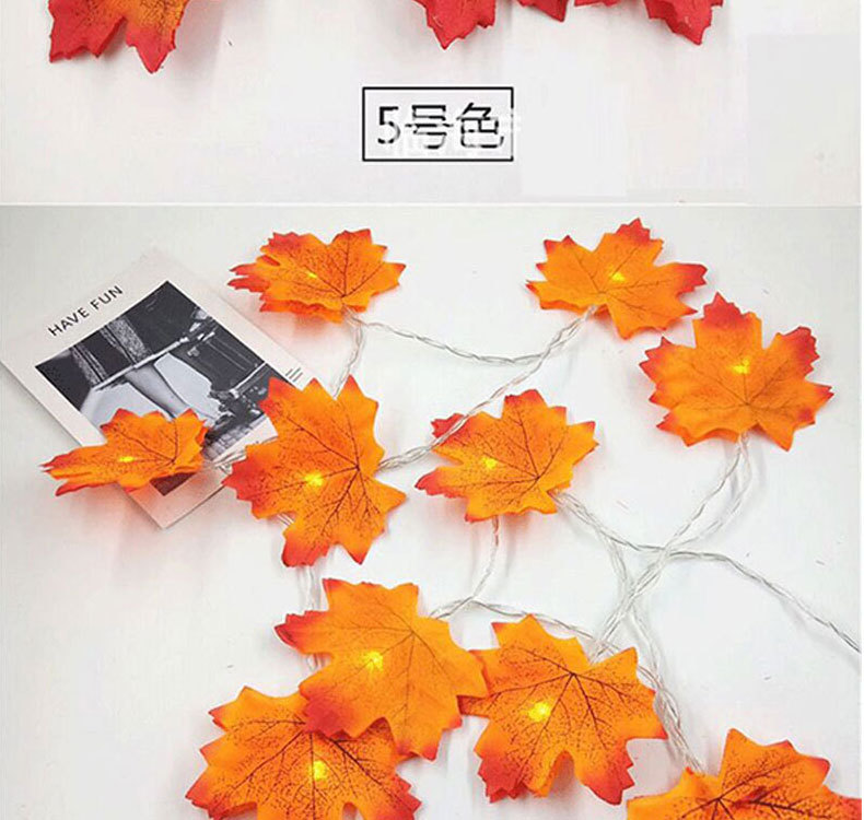 O1CN01SBDzvp1rj4zRrDQMW_!!3168335666-0-cib.jpg?__r__=1695749122219