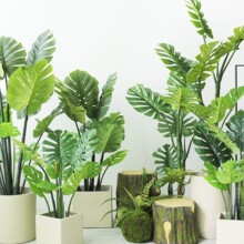 ֲ�b��Ž�����������������OӋ���҃������G�쾰������͙���