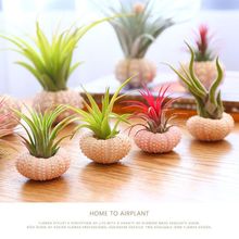 ���˟o��ֲ��՚��P�溣đ���ײ̈́������ԾGֲ�҃����滨��