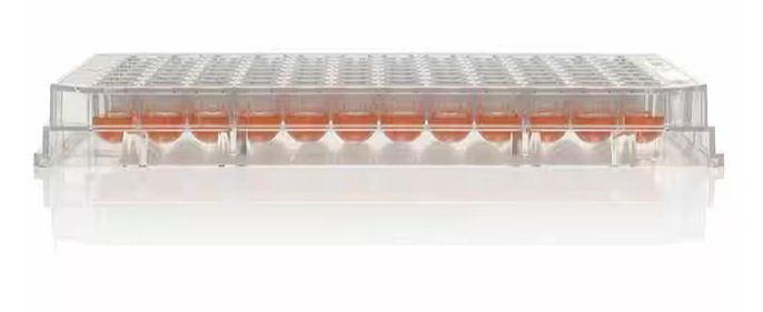 赛默飞NUNC 260836 微孔板 聚苯乙烯 表面未经处理 未灭菌 无盖