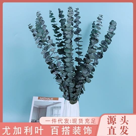 干花;鲜花花艺制品;仿真绿植