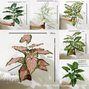 ����ֲ��3D��ӡ����ֲ�������3D�t���~3D�����~ֲ��b�����