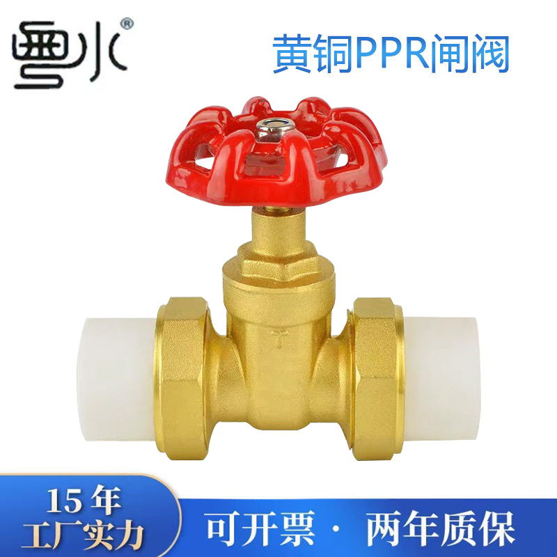 黄铜闸阀50管63管自来水管水表前可拆双活接热熔连接水开关铜阀门