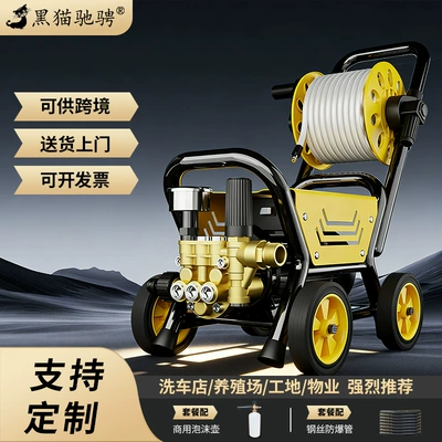 Customized Black Cat High-Pressure Car Washer 220V Household Cleaning Machine High-Pressure Water Gun High-Power Car Washing Gadget