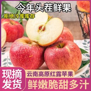 �������ͨ�t¶�O���������֭�Ǽt��܊�t��ʿ5�����rˮ�����l