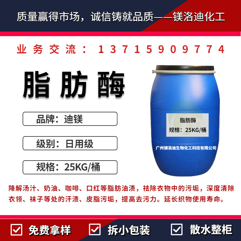 碱性脂肪酶 固态液态水解脂肪酶 降解油污祛除污垢汗渍 脂肪酶