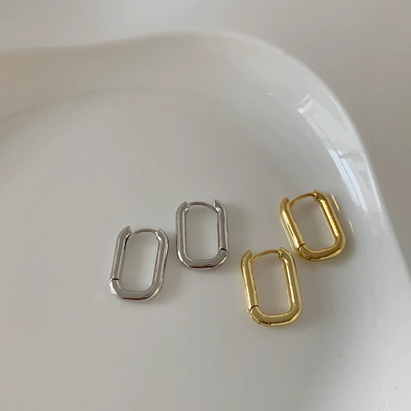 Fashionable elegant small design sophisticated trend earrings