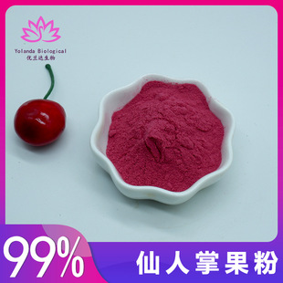 Cactus fruit powder 99% cactus Palm powder Youlanda biological cactus fruit extraction water-soluble free shipping