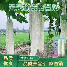 �L�׿�ϷN���r��ˈ@������׹ϷN�Ѹ߮a�ļ�����ϴ��������ͺ�