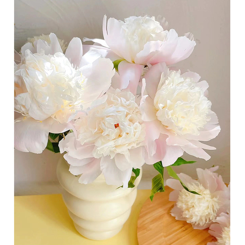 玫瑰花鲜花云南昆明基地批直发百合向日葵红豆家用鲜切水养插|undefined