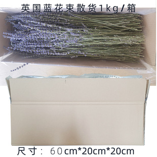 Դ�^�l؛�½�޹�²ݸɻ��������l��Ϧ���˹�����������޹�²ݻ���