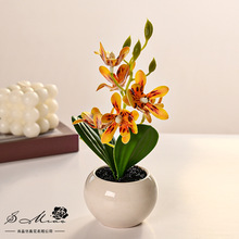 ֩���m����С�辰���滨�Gֲ�[���Ҿ��҃ȿ͏dС�辰�����b�