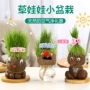 桌面办公室种植植物草娃娃