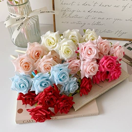 卡包卡套;相册;化妆包