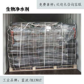 05号蓝波氨氮COD去除剂的微生物污水水处理絮凝剂处理剂生物洗煤